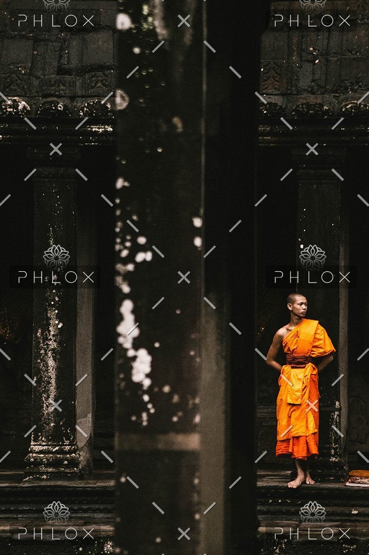 demo-attachment-42-jordi-ganduxe-353595-unsplash-1